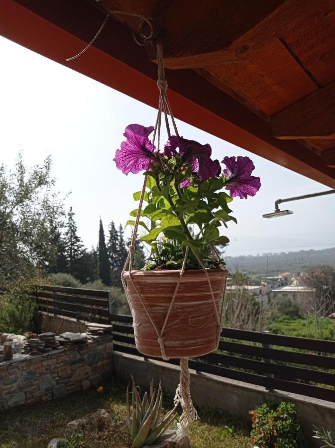 Villa Achinos Akhinos Екстериор снимка